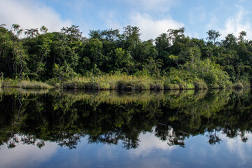 Fototapeta na wymiar Landscape with the forest reflecting in the river in the brazilian Amazon region near Marajo island.