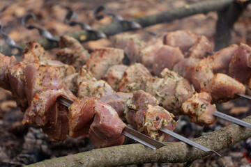 Kebab seasoned with spices grilling, outdoor picnic