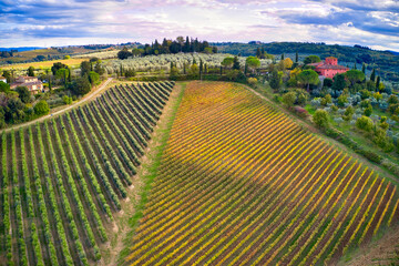Italy, Tuscany, Chianti region at beginning of Autumn, vineyards