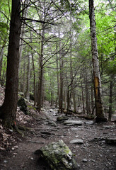 Bash Bish Falls - Hudson, NY