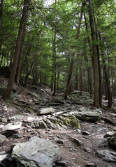 Bash Bish Falls - Hudson, NY