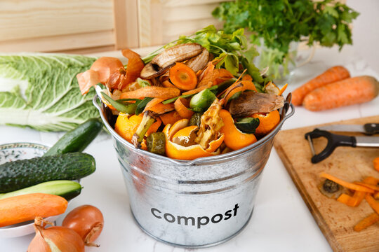 Sorted kitchen waste in compost-bucket on kitchen counter top. Compost-container. Sustainable life style. Vegetable and fruit peels, scraps from food preparation collected in trash-can for recycling. 