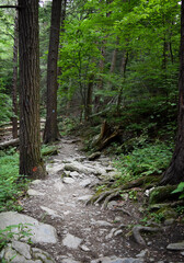 Bash Bish Falls - Hudson, NY