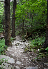 Bash Bish Falls - Hudson, NY