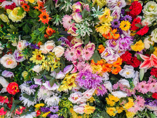 Portugal, Lisbon. The San Antonio wall flowers near the entrance of the Museu de Lisboa.