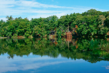 Tranquil lake and reflections