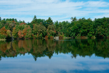 Tranquil lake and reflections