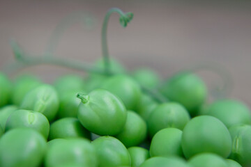 young green peas with macro shot
