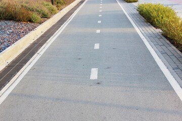 Bicycle road sign on asphalt Bicycle path in the morning in the city in summer with elms Direction...