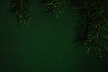 Fototapeta na wymiar Christmas and New year green background for text. On the sides of a spruce branch