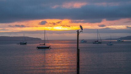 Fading sun of another day