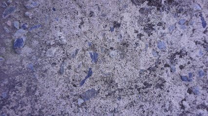 The rough concrete surface is an old walkway next to the house.