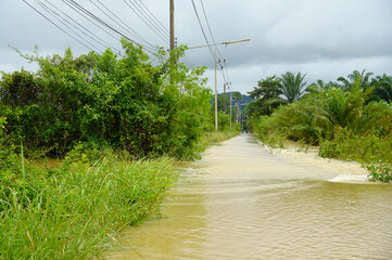 flood water on the road, Floods have flooded a street