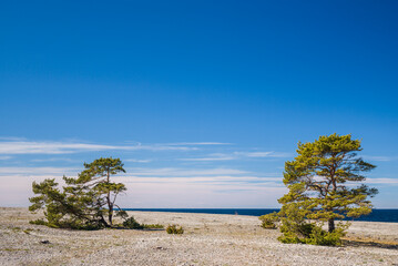 Sweden, Faro Island, Kursviken, coastal view