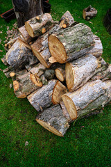 A pile of chopped pine logs.