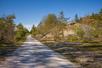 Fototapeta na wymiar Sweden, Gotland Island, Bungenas, former chalk mine and military base, now an exclusive vacation development and nature preserve, country road