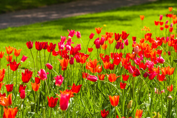 Sweden, Oland Island, Borgholm, Solliden Slott palace, Swedish Royal Family summer palace, palace gardens, springtime