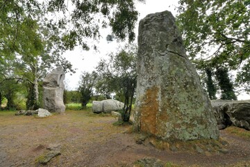 Les grands menhirs pr&egrave;s des alignements d'Erdeven . Morbihan Bretagne France