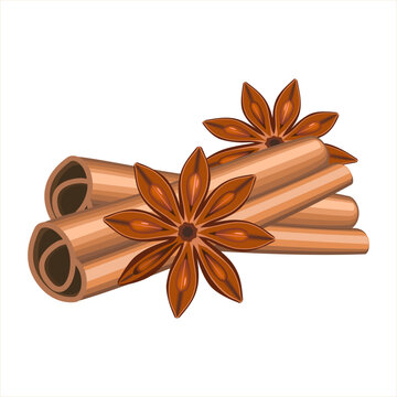 Realistic spices for Christmas mulled wine. Christmas scent cinnamon and anise spices set isolated on white background. Vector illustration EPS 10