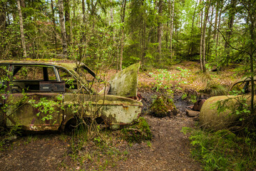 Sweden, Smaland, Ryd, Kyrko Mosse Car Cemetery, former junkyard now pubic park, junked cars