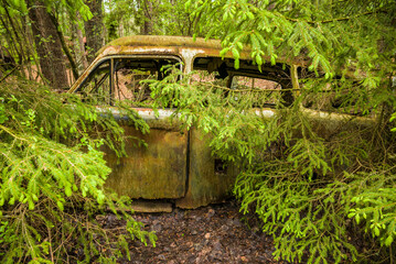Sweden, Smaland, Ryd, Kyrko Mosse Car Cemetery, former junkyard now pubic park, junked cars