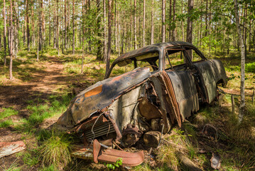 Sweden, Smaland, Ryd, Kyrko Mosse Car Cemetery, former junkyard now pubic park, junked cars