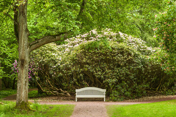 Sweden, Scania, Molle, Krapperups Slott castle, ancient home of the Gyllenstierna family, public garden bench