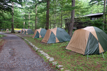 森の中のキャンプ場のテント