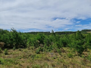 fazenda para pecuária