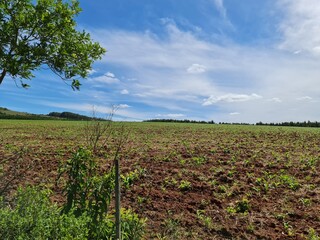 Obraz premium fazenda para pecuária