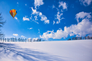 厳冬期の道東地方の雪景色