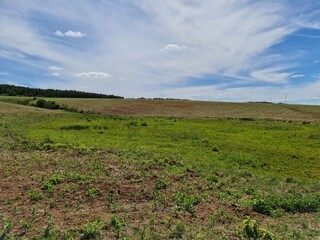 fazenda para pecuária