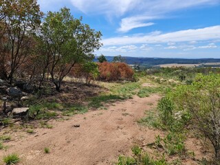 queimada, mato, seco, seca, &aacute;rido, estiagem