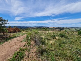 catinga, solo árido, mato queimado, seca, estiagem