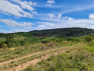 Fototapeta premium pecuária, fazenda, pasto, agronegócio