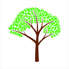 Beautiful Tree Symbol Vector Design with Green Leaves