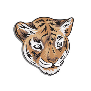 Little tiger in cartoon style. Vector illustration. vector graphic little tiger