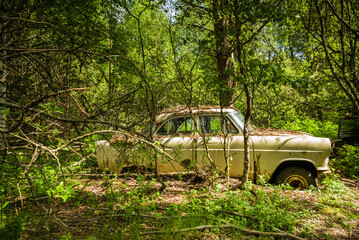Sweden, Varmland, Bastnas, Bastnas Car Cemetery public park, antique car junkyard