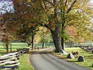 Road through Cades Cove in Tennessee - obrazy, fototapety, plakaty