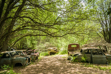 Sweden, Varmland, Bastnas, Bastnas Car Cemetery public park, antique car junkyard