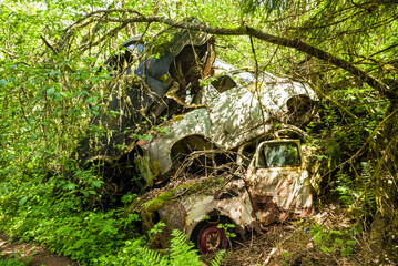 Sweden, Varmland, Bastnas, Bastnas Car Cemetery public park, antique car junkyard