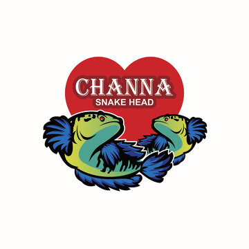snake head fish, channa limbata, great mascot of channa contest fish vector illustrations