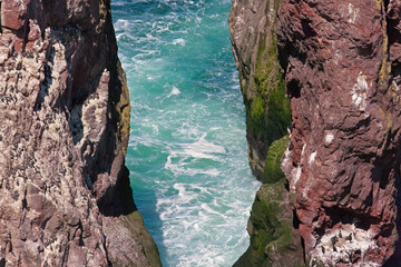 Fototapeta Rocks in the ocean, St Abb's Head National Nature Reserve, Scotland, UK obraz