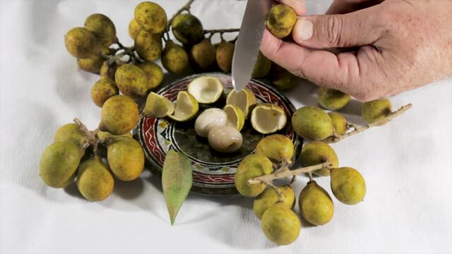 Ripe Pitomba fruits (Talisia esculenta) on a white background highlighting the juicy white flesh of the ripe fruits. Demonstration video.