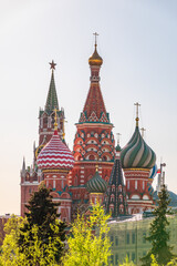 Fototapeta na wymiar Multi-colored domes of St. Basil's Cathedral and the Spasskaya Tower of the Moscow Kremlin around the trees. Symbols of the Russian state.