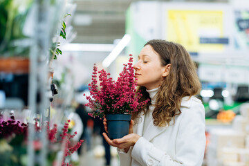 Woman with curly brunette hair in warm sweater and white coat smells purple flowers blooming in pot...