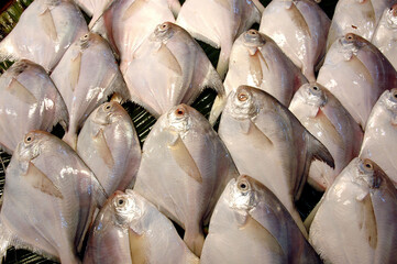 Rupchanda fish at a market of Kolkata, India.