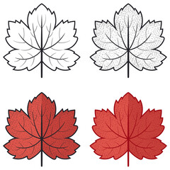 Colorful hand drawn autumn leaves. Hand draw leaves collection 01. Autumn leaf vector illustration.
