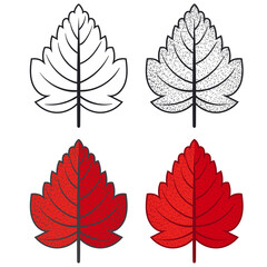 Colorful hand drawn autumn leaves. Hand draw leaves collection 05. Autumn leaf vector illustration.