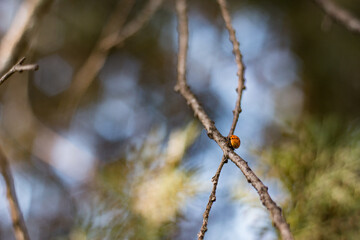 Minimal nature details color contrast and soft light